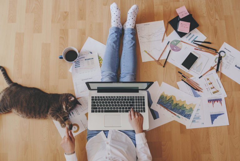 a person sitting at a desk with a laptop and a cat.