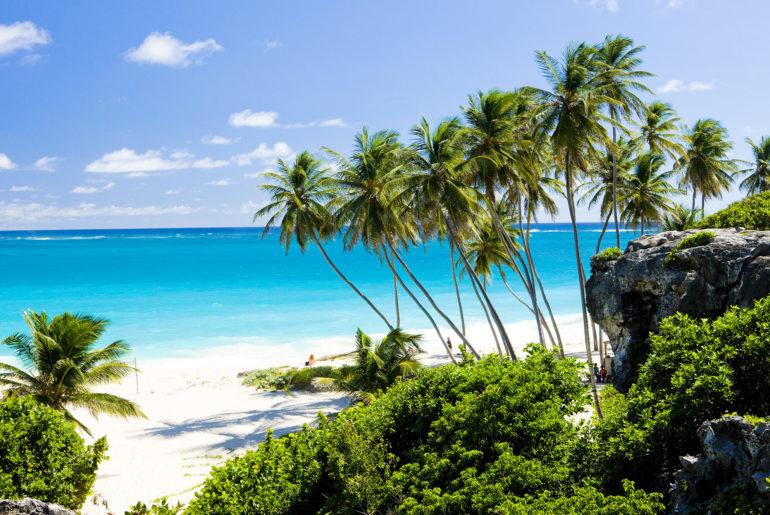 a tropical beach with palm trees and blue water.