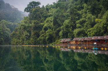 a body of water surrounded by lush green trees.