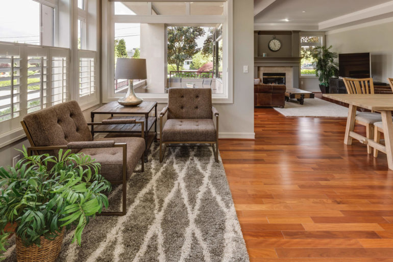 big spacious furnished apartment